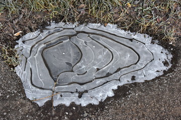 Winter Scene of Ice Patterns Seen in a Frozen Puddle