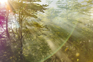 Queulat Park, Patagonia, Chile