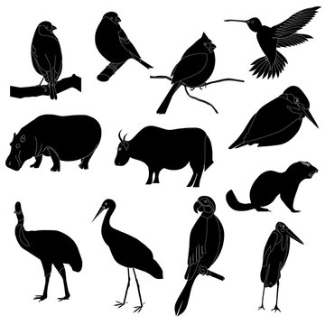 Vector bullfinches, cardinal, hummingbird, hippopotamus, yak, kingfisher, marmot, marab, parrot, stork, kazarian black on white silhouettes stock illustration