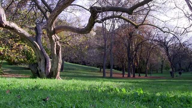 Roma, Italia. Villa Pamphili. Autunno. 
