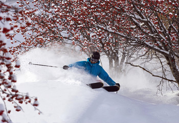 Cross country skier on snowy terrain
