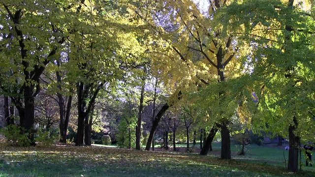 Roma, Italia. Villa Pamphili. Autunno. 