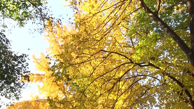 Roma, Italia. Villa Pamphili. Autunno. 
