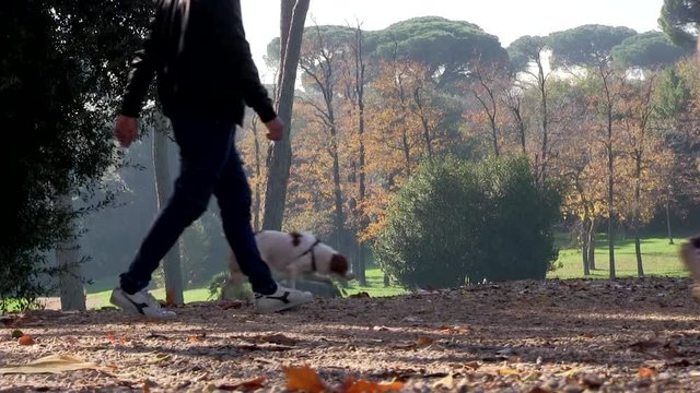 Roma, Italia. Villa Pamphili. Autunno.