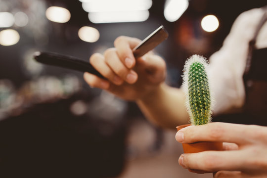 Barber shop. Close-up of barber holds razor and cactusfor shaving his beard