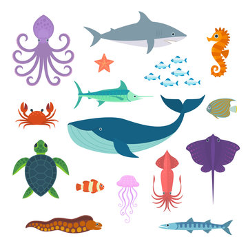 Set Of Vector Marine Fish And Animals. Vector Set Of Sea Creatures.