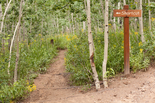 Trail Shortcut