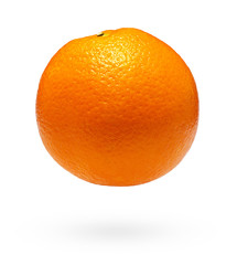 Orange fruit on white background