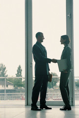 Fototapeta na wymiar Businesspeople shaking hands