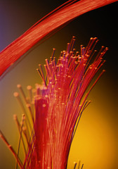 Fiber optic cable