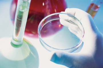 Petri dish