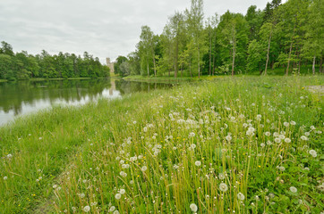 Summer natural landscape.