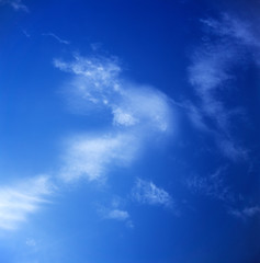 Cirrus clouds