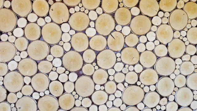 large number of different size saw cut wood circles