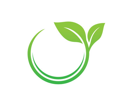 green leaf nature vector logo design