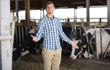 Man touching cows in cowshed