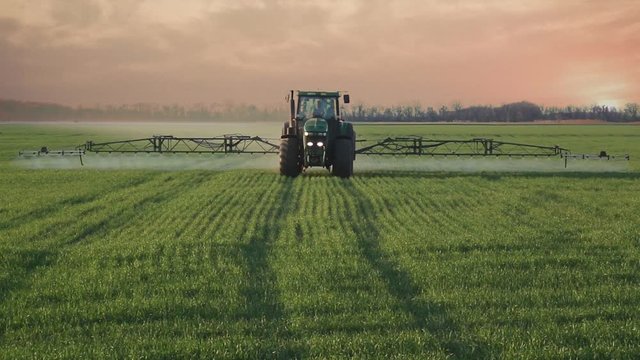 Green tractor sprays the wheat field with chemicals on dramatic cloud sunset background.