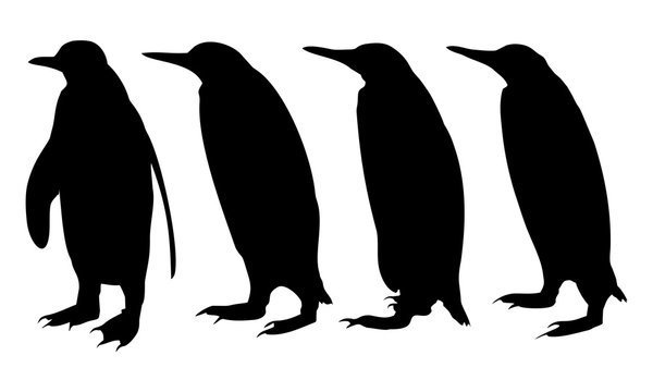 silhouette four penguins