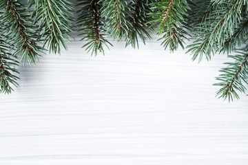 Blue green spruce branches on the cold, frosty wooden background. Beautiful mock up for holiday post card and Christmas offers as advertising or other ideas. Empty place for a text.