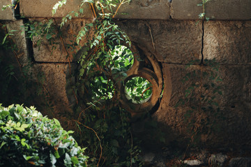 Fototapeta premium Celtic trefoil of stone in the fence, entwined with ivy. 