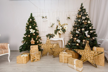 Fototapeta na wymiar Christmas trees with presents