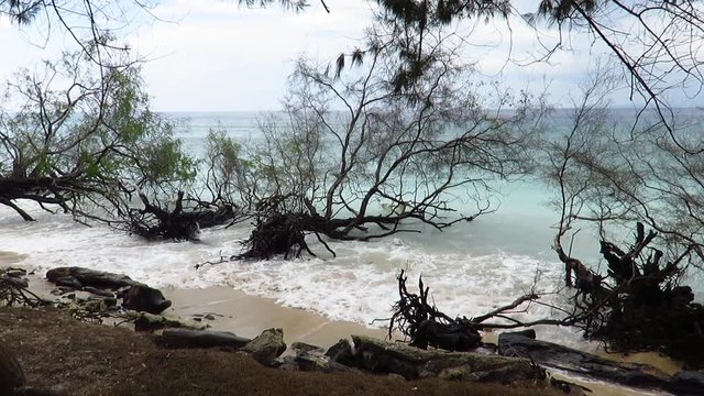 Ocean Softly Caressing the Shore of a Tropical Island