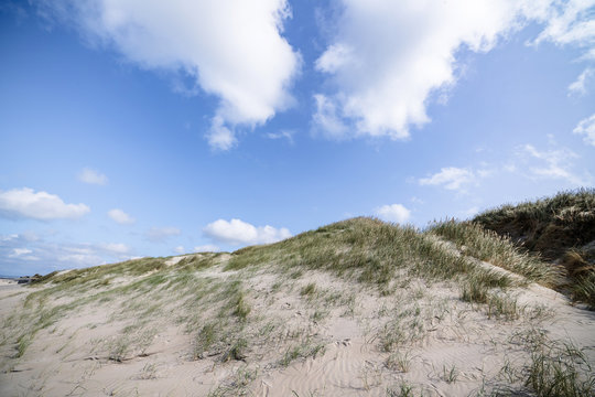 Sand dunes on a nordic beach in the summer