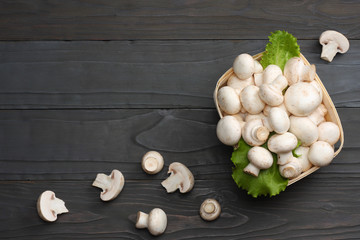 mushrooms on dark wooden background. top view with copy space