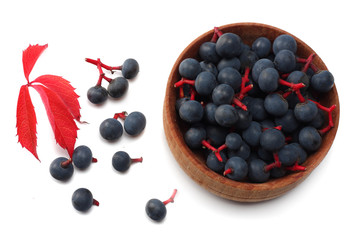 wild grapes isolated on white. top view