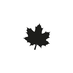maple leaf 