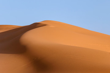 landscape of golden sand dune with blue sky in Sahara desert in Morocco