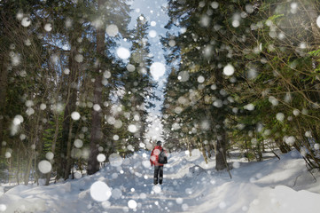 Fototapeta na wymiar Tourist walking through the winter forest during a snowfall in a red coat