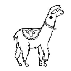 Vector illustration. Cute character lama