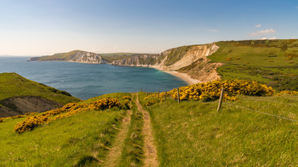 Fototapeta na wymiar Walking on the South West Coast Path, looking at Worbarrow Bay, near Tyneham, Jurassic Coast, Dorset, UK