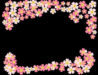 Romantic floral background. Flower. Japanese daisies