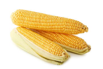Sweet corns isolated on white