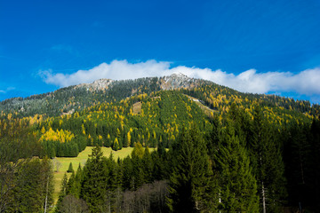 Verschneiter Berg Mit Herbstlichem Wald in Österreich