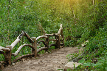footpath with wooden fence in the forest