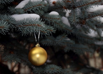 Fir branch with golden ball