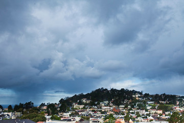 San Francisco Forest HIll