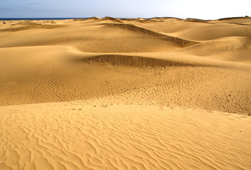 Numerous desert sand dunes at Maspalomas, Playa del Ingles, Gran Canaria