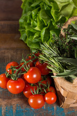 Fresh green lettuce salad, italian kitchen herbs and tasty cherry tomatoes on vine