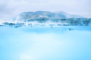 Blue lagoon hot srping Iceland