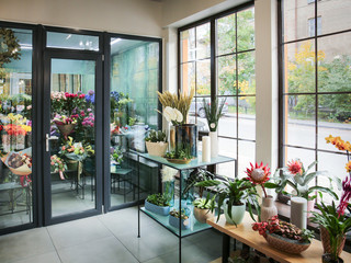 Assortment of beautiful flowers in shop