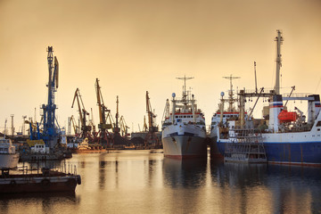 Fototapeta premium Fishing vessels and docks cranes in the port on the background of a sunset.