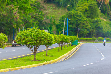 strip with green trees and grass on paved road