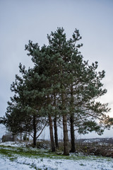 Obraz premium Landscape