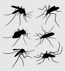 Mosquito insect animal silhouette Good use for symbol, logo, web icon, mascot, sign, sticker, or any design you want
