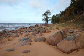 morning scenery of a baltic shore