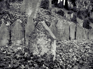 Old overgrown Jewish graveyard in Trebic, Czech Republic